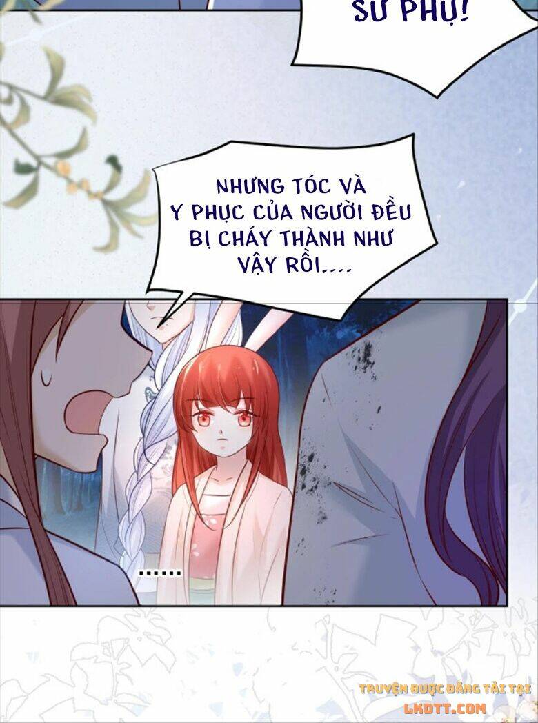 hắc hóa nam chính trực tuyến nuôi thỏ chapter 46 25