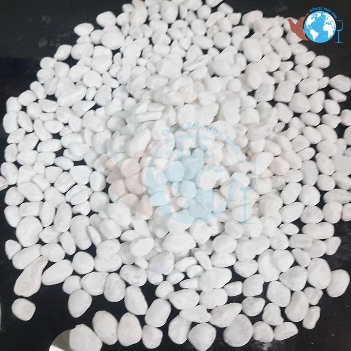 1KG Sỏi đá bịch 1 kg sỏi, loại sỏi đá nhỏ để hồ cá, sỏi phủ mặt chậu cây, sỏi trang trí