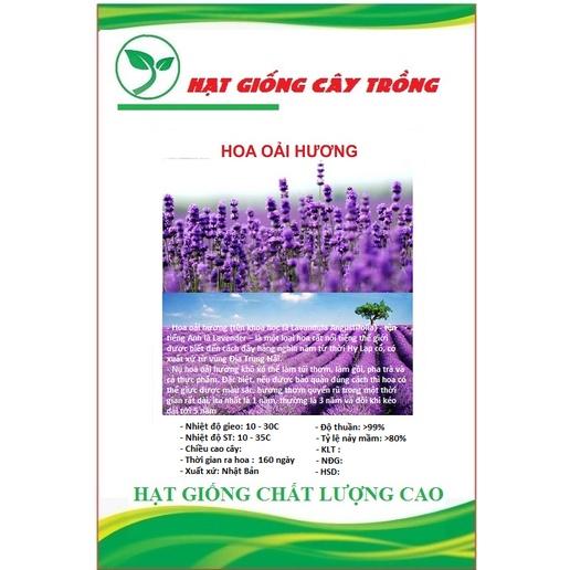 Hạt Giống Hoa Oải Hương tím CT198 - Gói 50 hạt