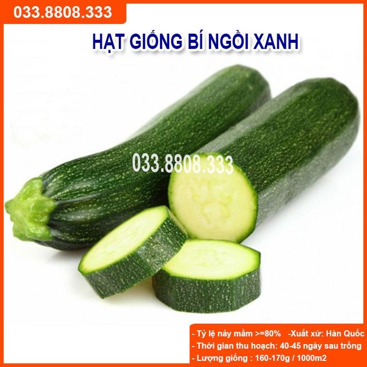 HẠT GIỐNG BÍ NGỒI XANH 10 HẠT - BÍ TO ĐẸP DỄ TRỒNG