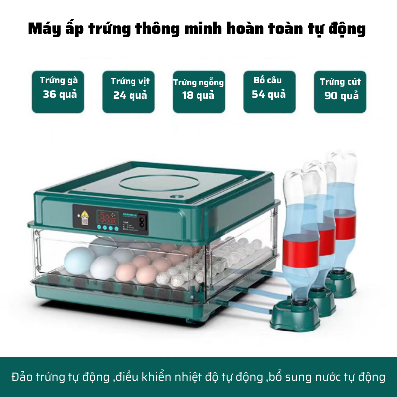 Máy ấp trứng mini thông minh Hàng chính hãng tự đảo thay nước MAT-09