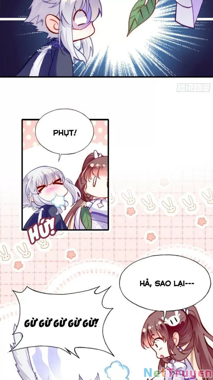 lại bị bệnh chiều chuộng quấn lấy chapter 19 15