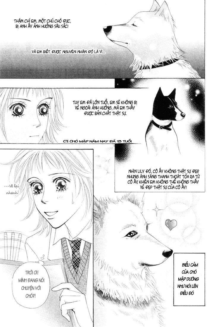 quán trà provence chapter 1 40