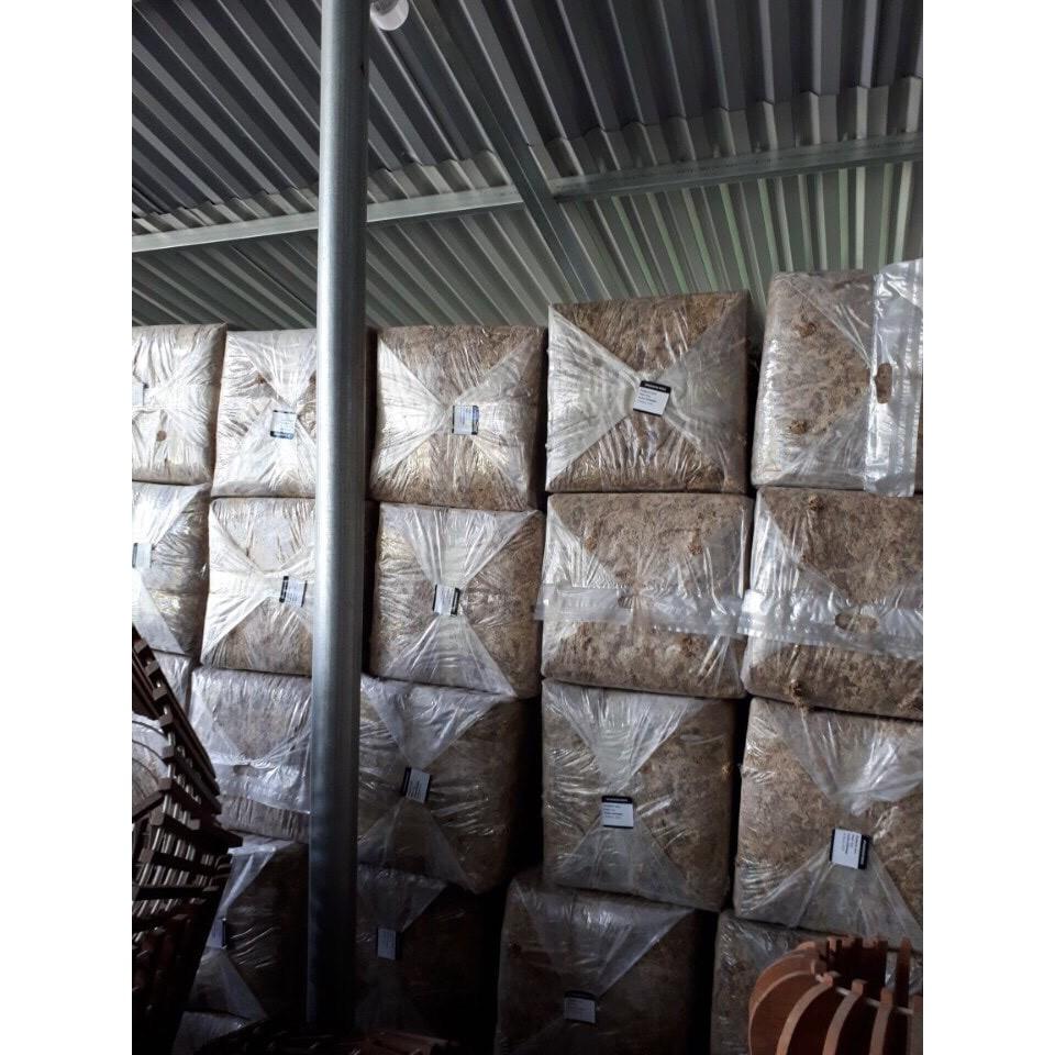 Rêu sâu ChiLe gói 100g