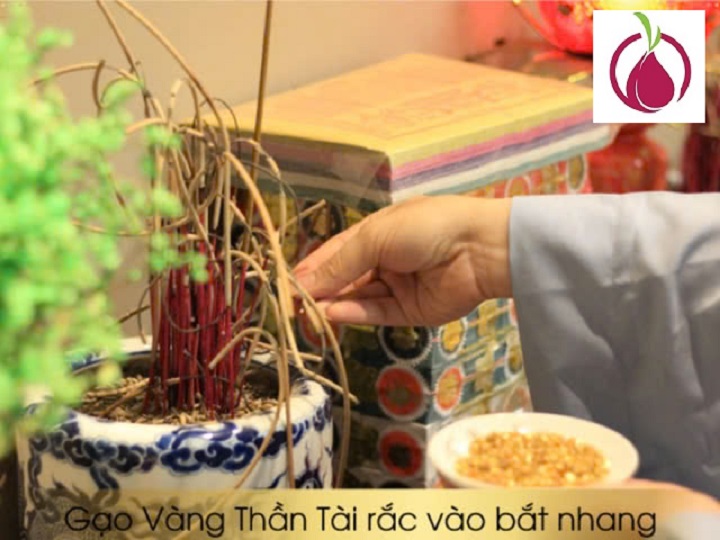 Gạo vàng phong thủy Thần Tài Lễ Tết – đồ cúng đặt trên bàn thờ Thần Tài cao cấp giúp chiêu tài đón lộc – may mắn - phát tài gói lớn 500gr