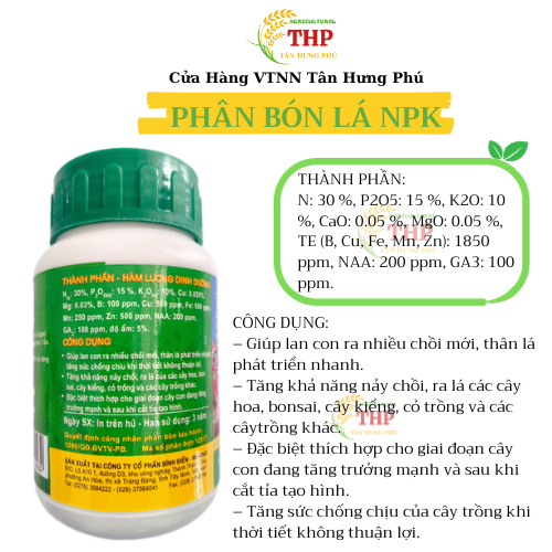 COMBO Đầu Trâu 501,701,901 | CHUYÊN HOA | COMBO CHĂM SÓC CÂY