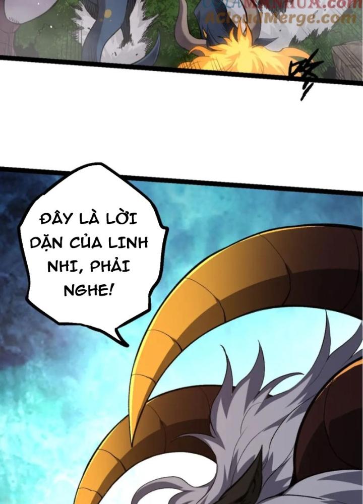 từ cây cổ thụ bắt đầu tiến hóa chapter 94 98