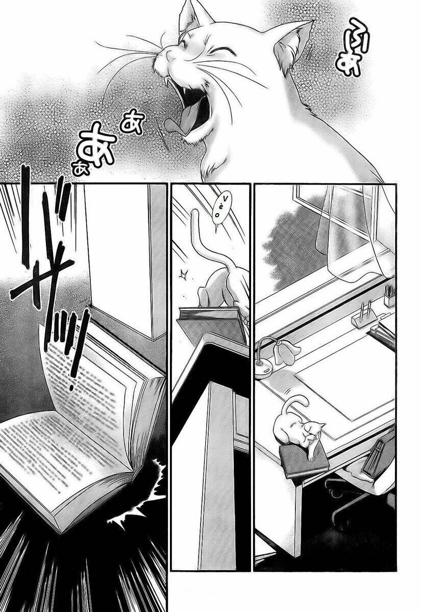 moriguchi orito no teiougaku chapter 14 24