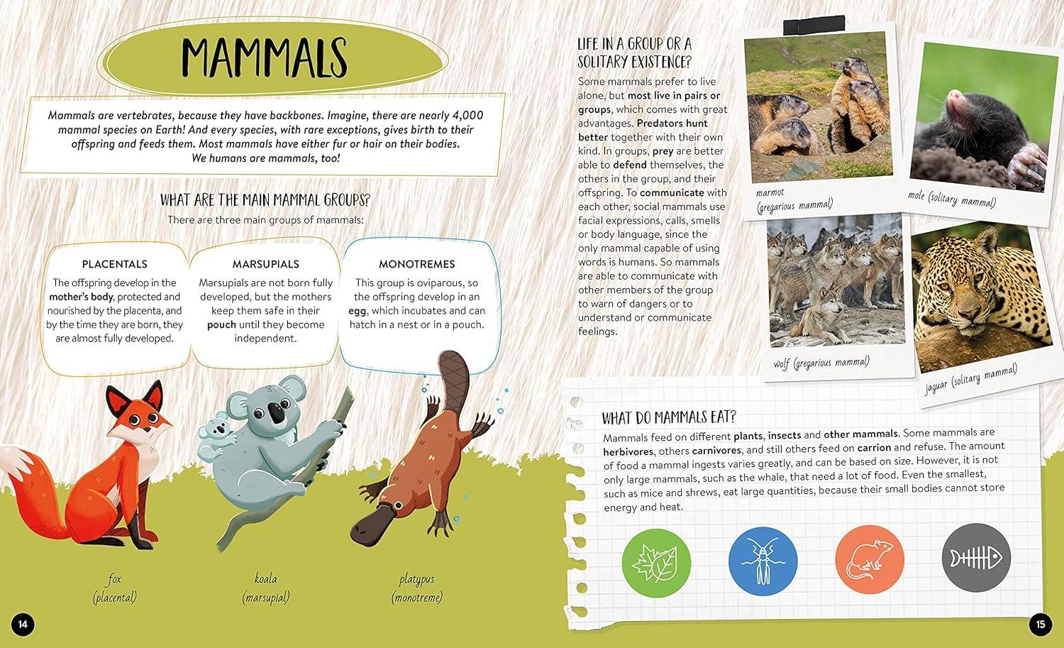 Sách ngoại văn: What How Why Animals