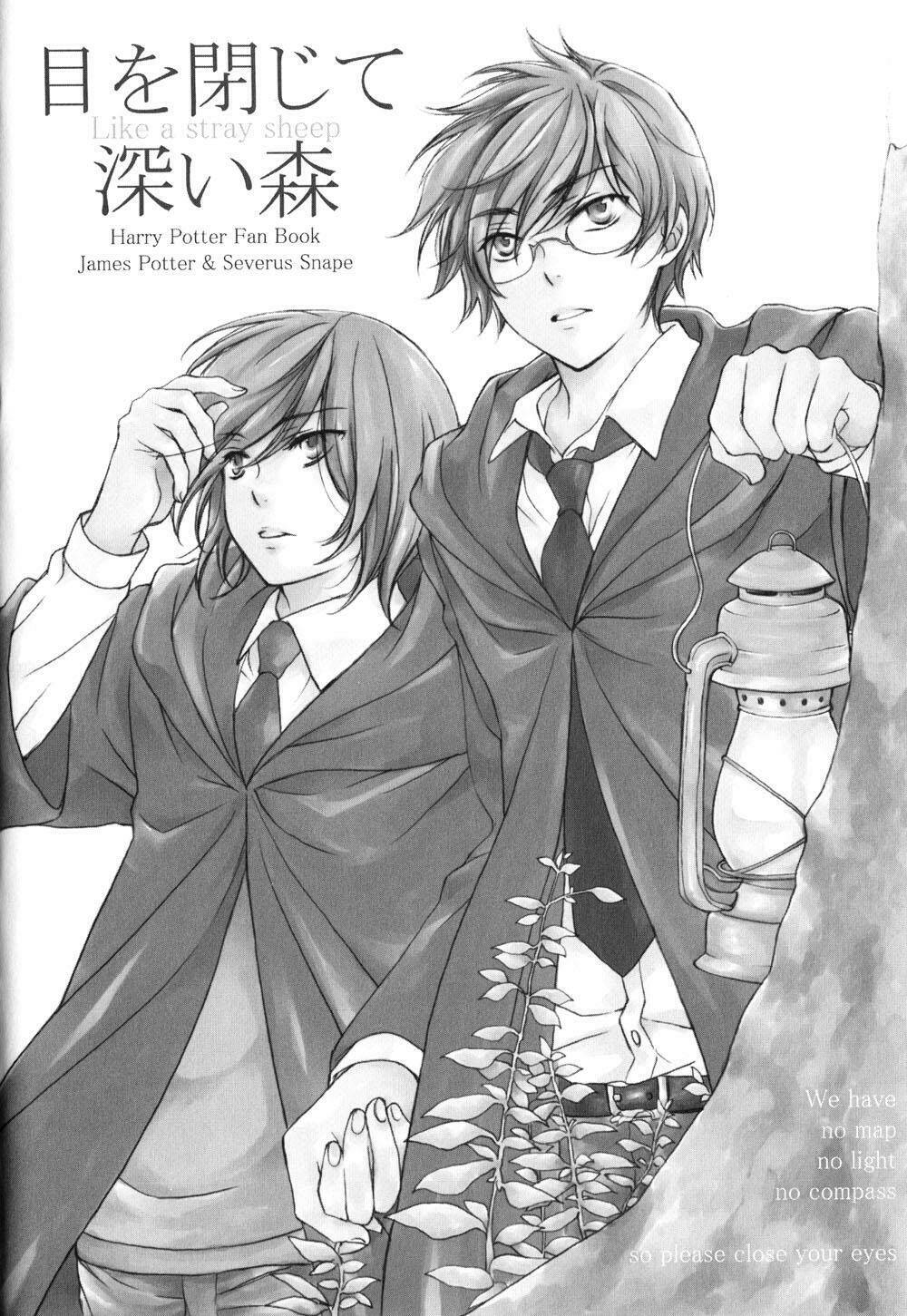harry potter doujinshi - the world 2 chapter 3 4