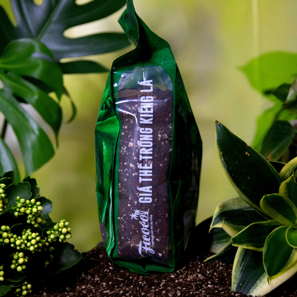 Đất trồng cây, giá thể trồng các cây kiểng lá, cây trong nhà, ngoài trời, Monstera, Anthurium, Bàng Singapore, túi 7 lít