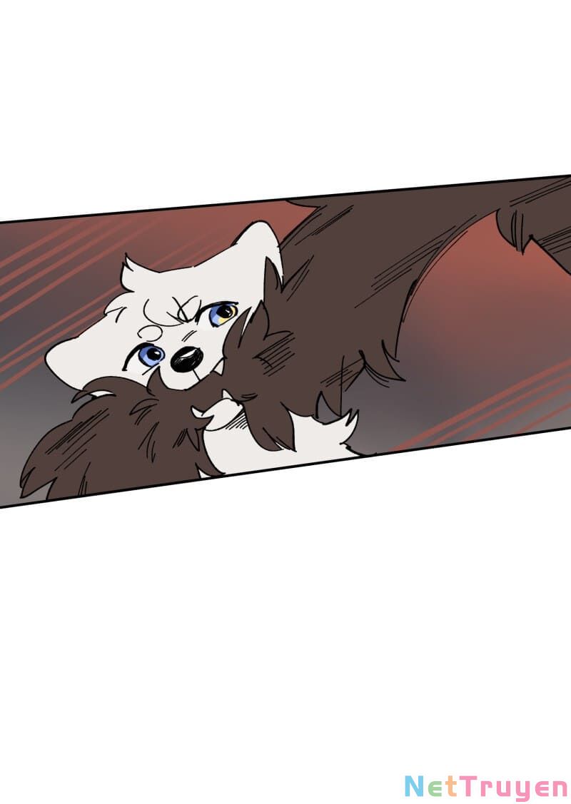 lumine - cội nguồn ánh sáng chapter 112 35