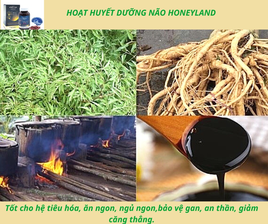 Hoạt Huyết Dưỡng Não Q10 plus Honeyland 90 viên
