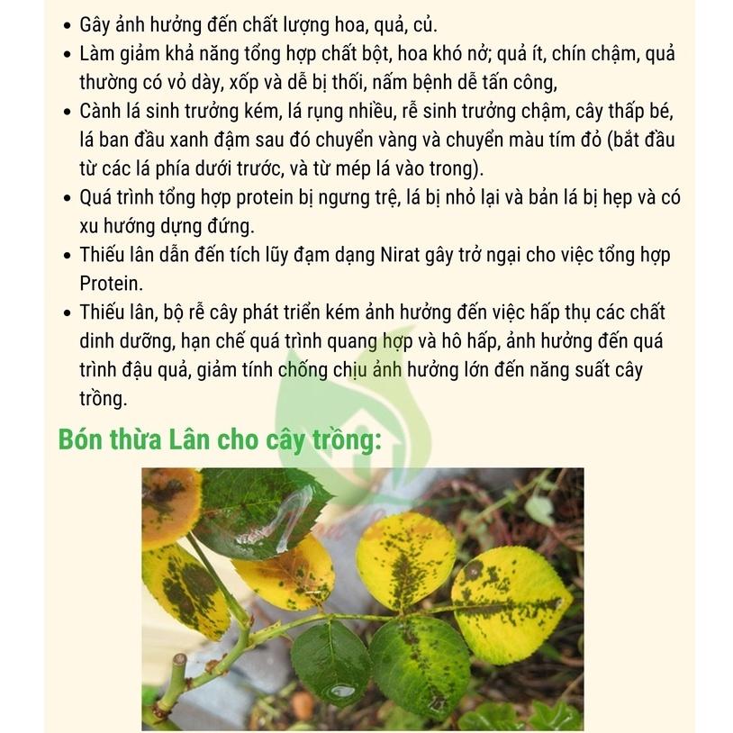 Phân Bón Siêu Lân Đỏ Hà Lan gói 15g - Shop Phân Bón và Hạt Giống