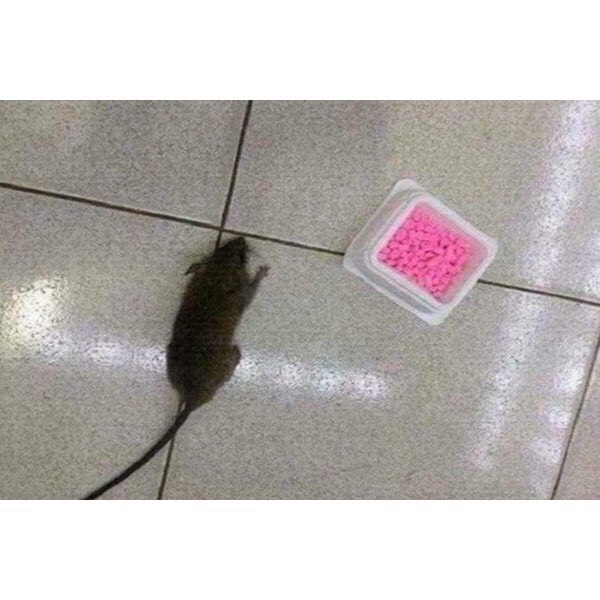 Thuốc diệt chuột, Kẹo diệt chuột tiêu diệt cả đàn chuột hàng Thái Lan an toàn hiệu quả