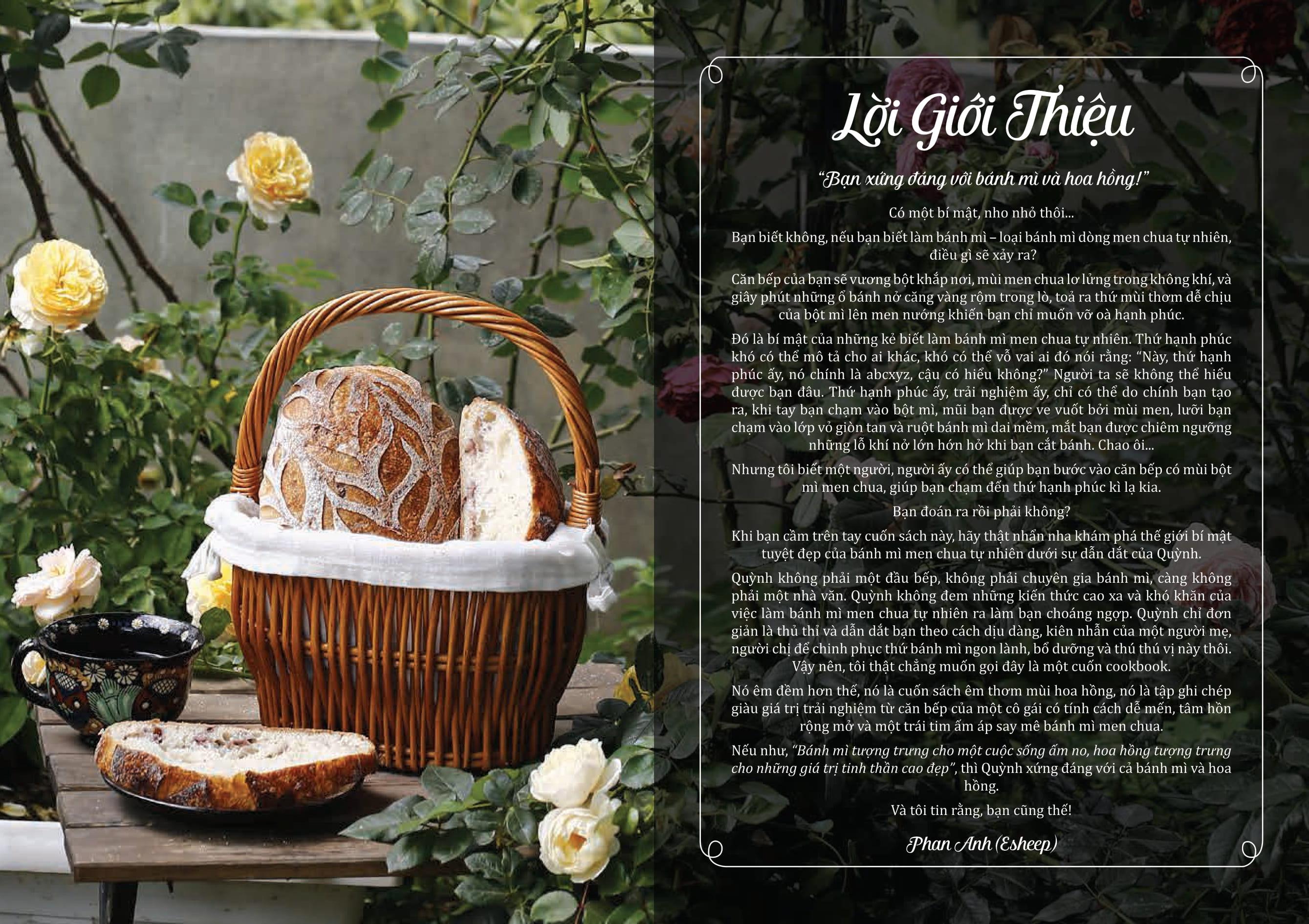 Sourdough Bread - Bánh Mì Men Tự Nhiên