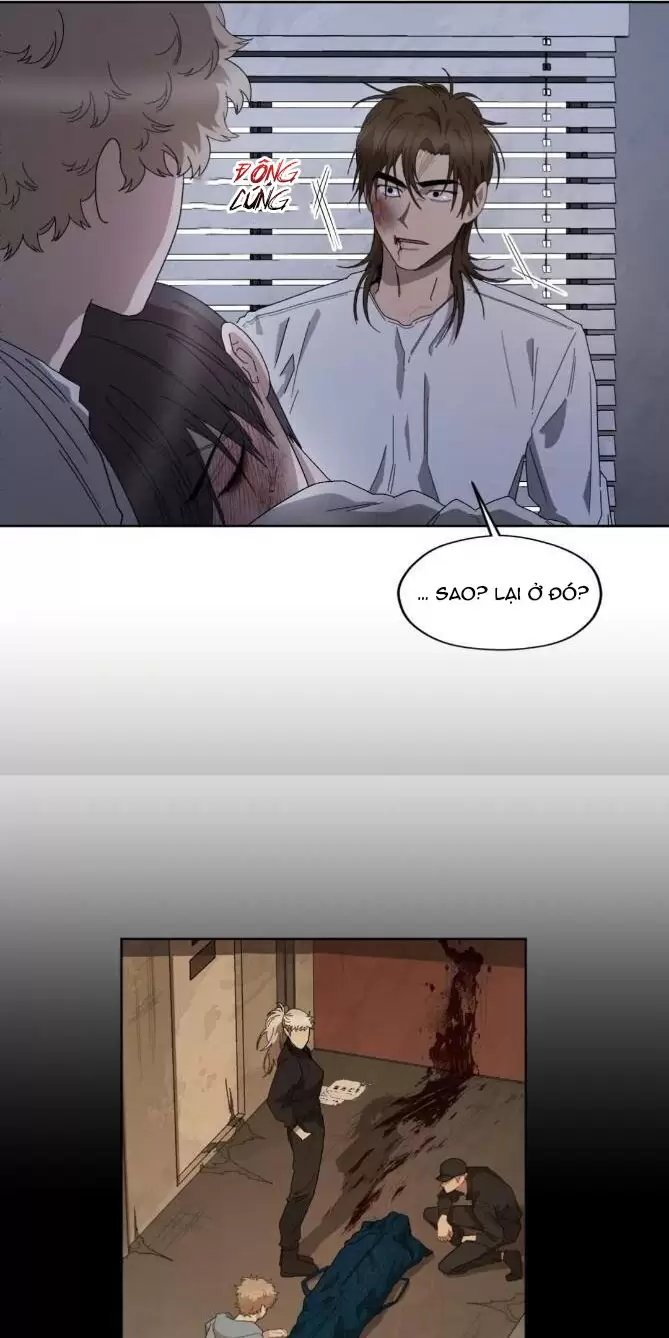 liveta chapter 37 39