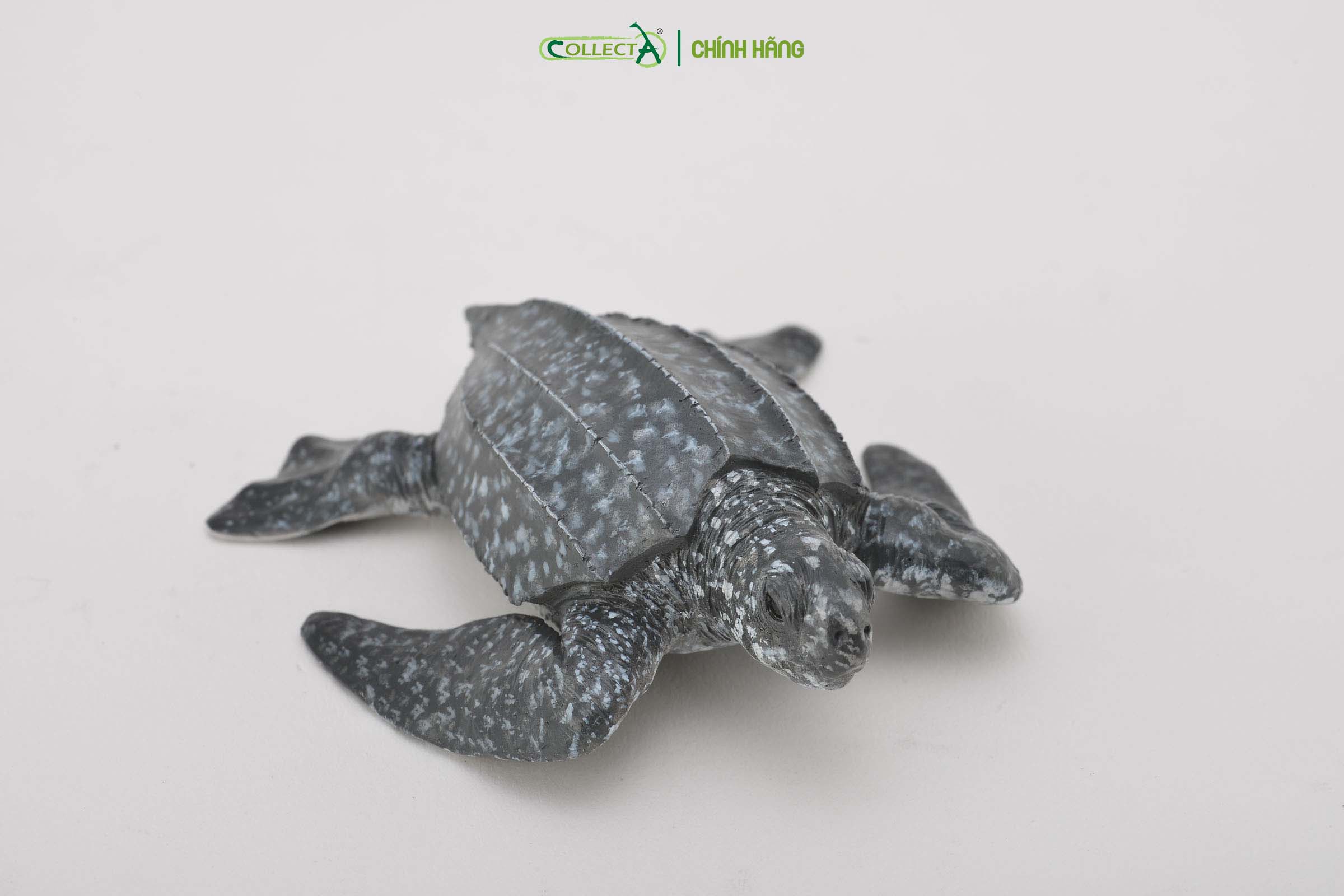 Mô hình thu nhỏ: Rùa Da - Leatherback Sea Turtle, hiệu: CollectA, mã HS 9652030[88680] - Chất liệu an toàn cho trẻ - Hàng chính hãng