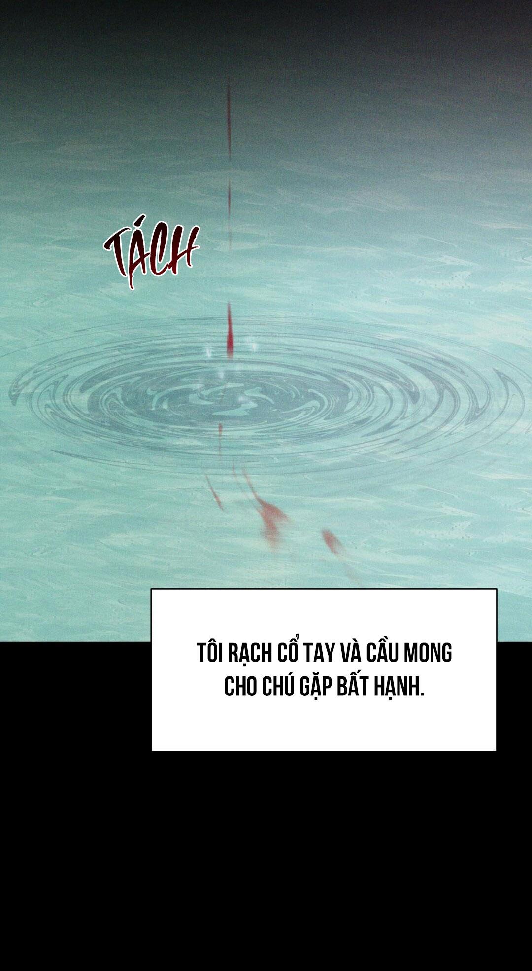 macguffin chapter 24 70