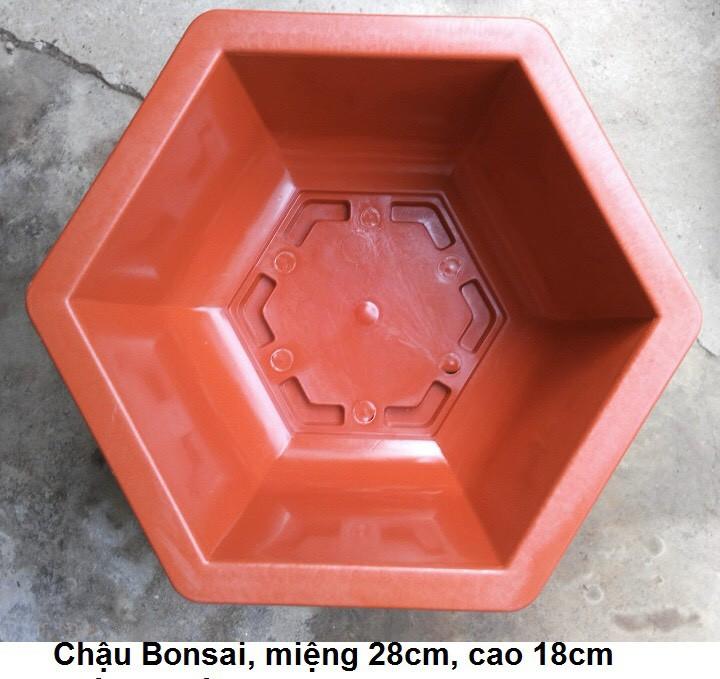 Combo 10 chậu nhựa lục giác trồng cây 250x150