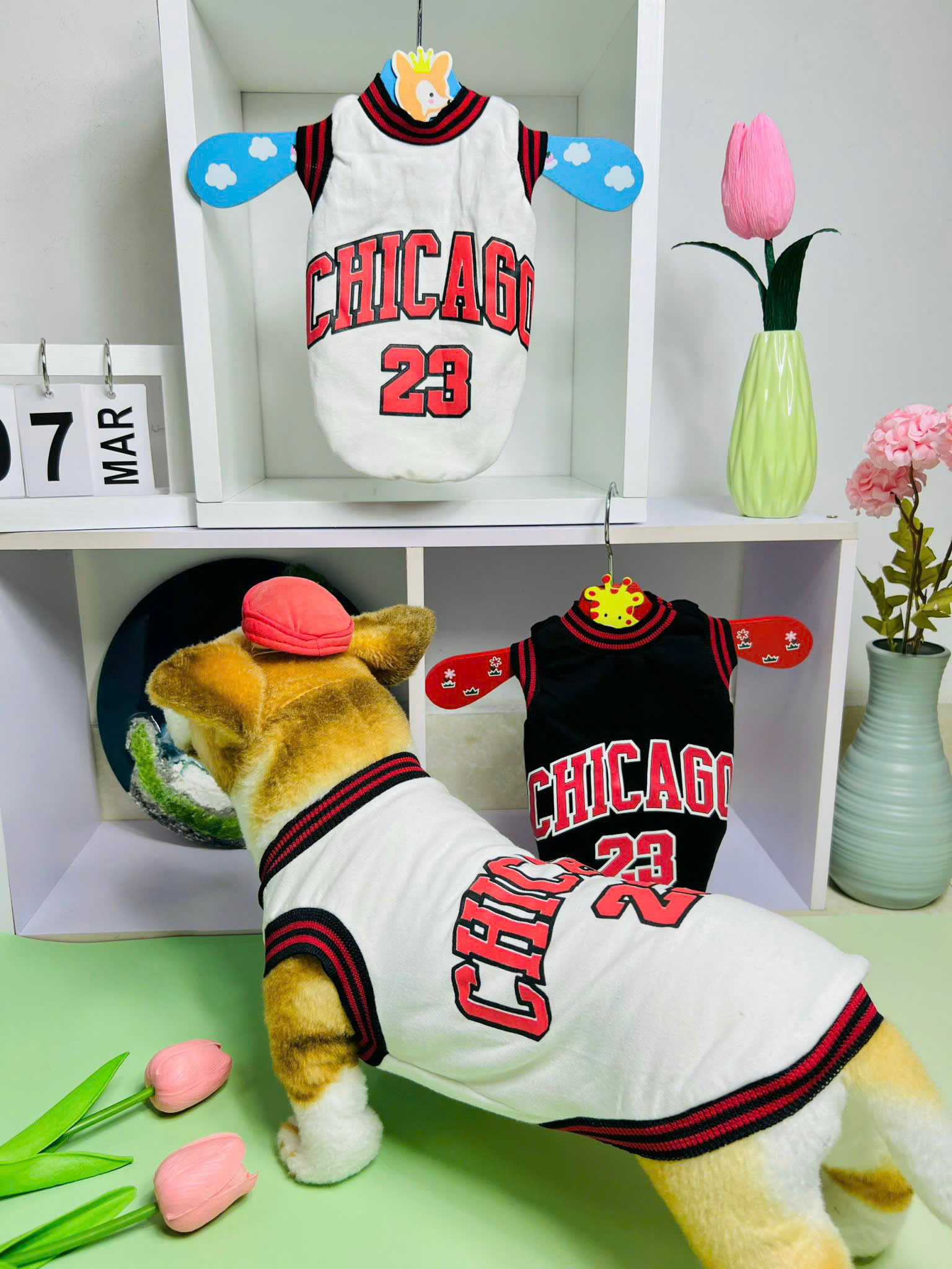 ÁO CHICAGO SANG XỊN DÀNH CHO THÚ CƯNG CHÓ MÈO