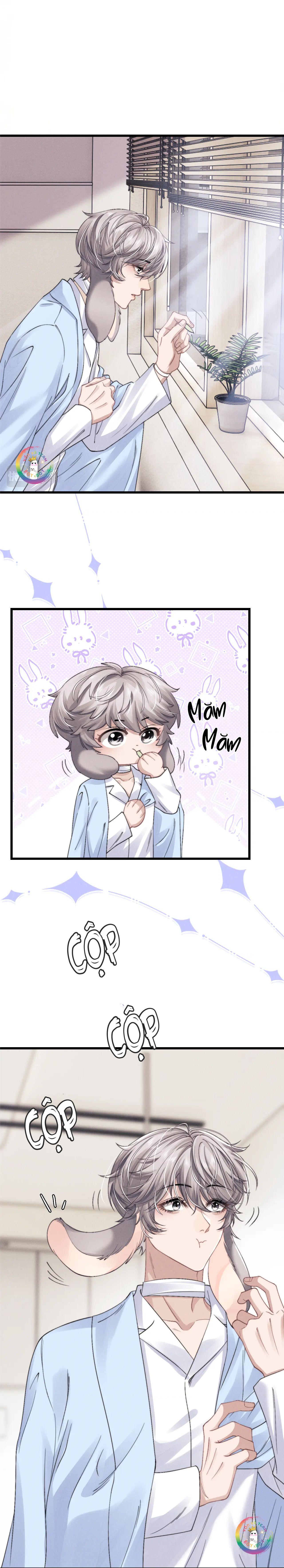 chấp sự thỏ tai cụp chapter 11 17