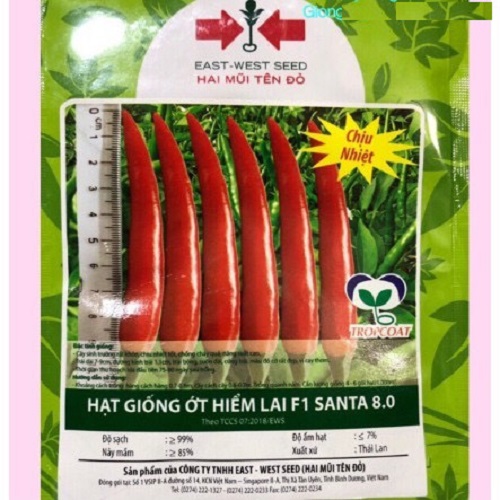 HẠT GIỐNG ỚT HIỂM LAI F1 SANTA 8.0 gói 5gr