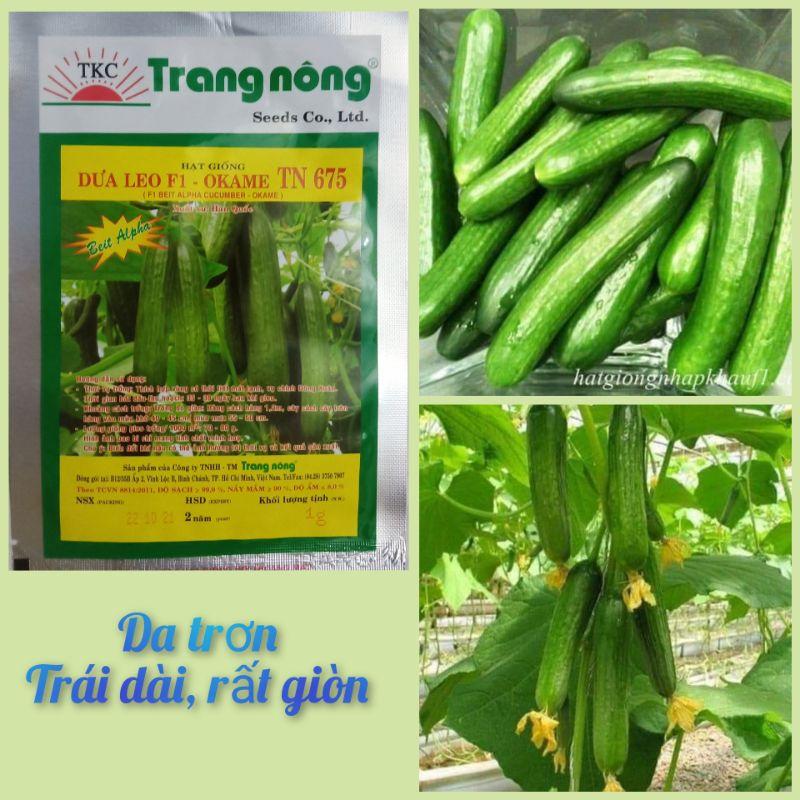 GẦN 50 HẠT GIỐNG DƯA LEO CHÙM TRANG NÔNG TN675