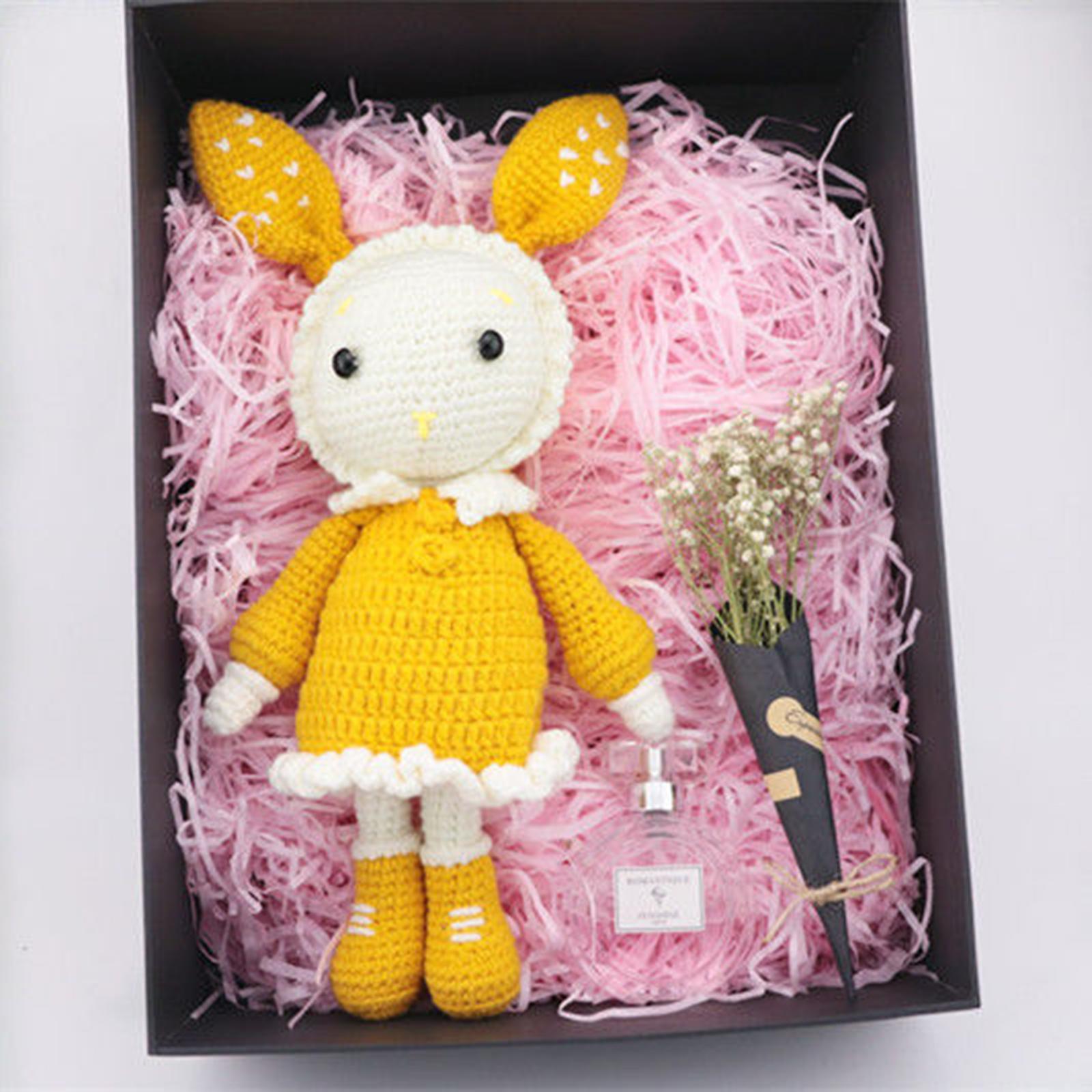 Crochet Kit A Pair of Rabbit Crochet Craft Set Make Your Own Doll for Adults and Kids
