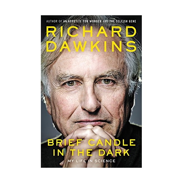 Brief Candle In The Dark