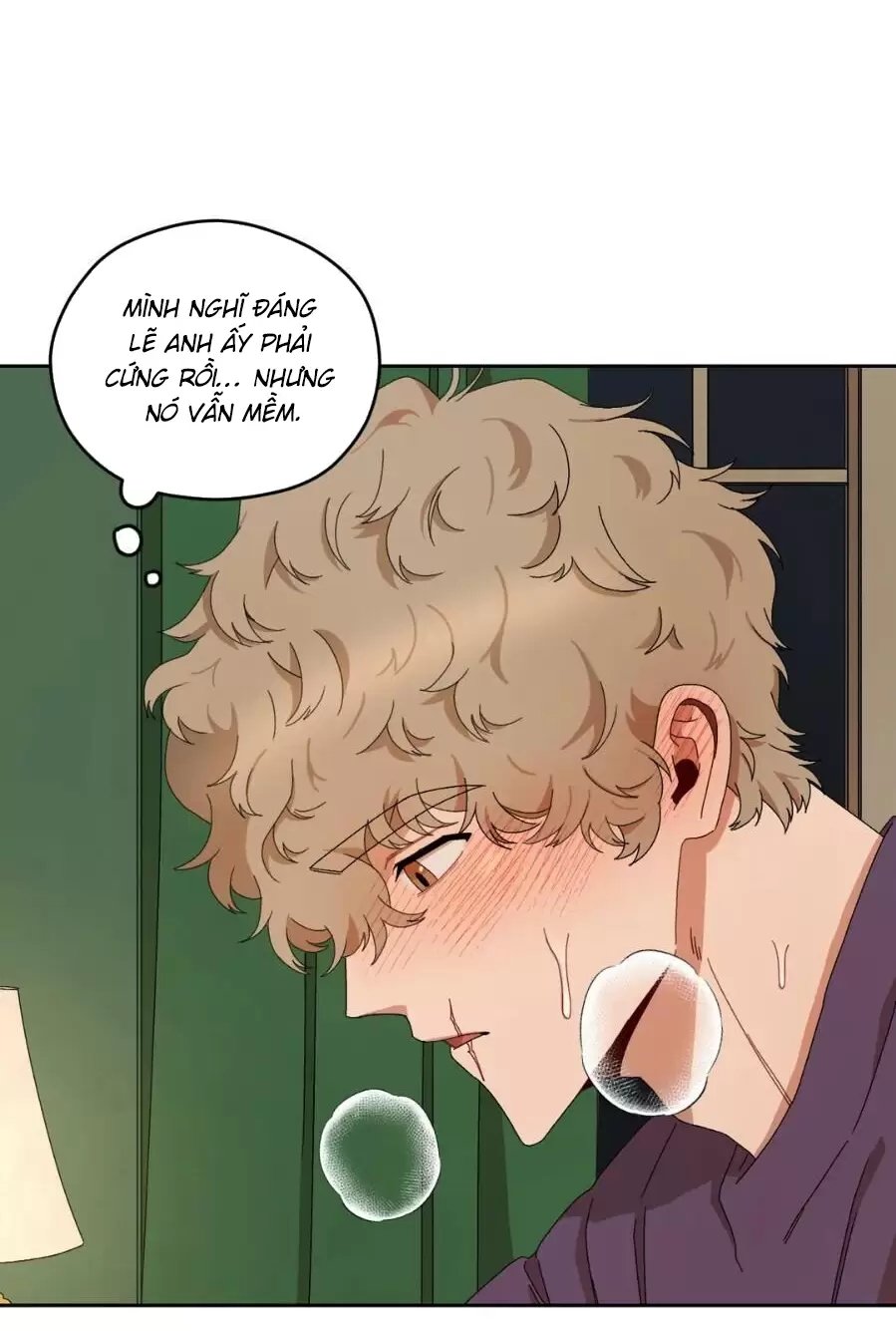 liveta chapter 13 17