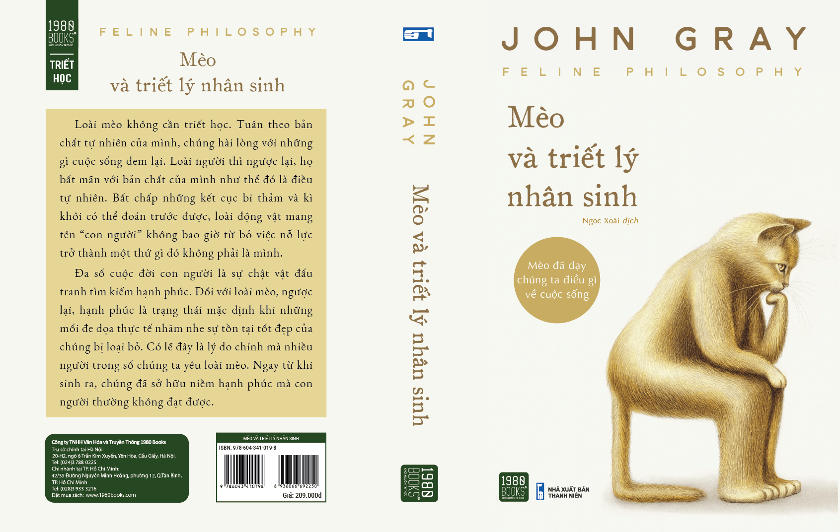 Mèo và triết lý nhân sinh