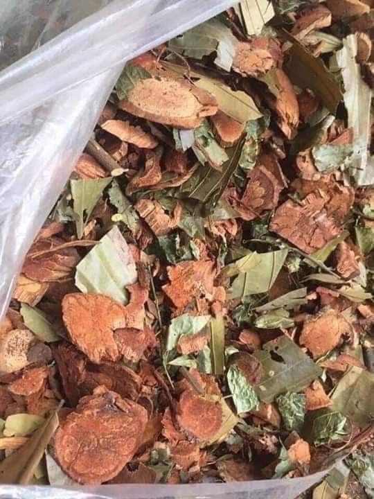 Lá tắm người Dao đỏ