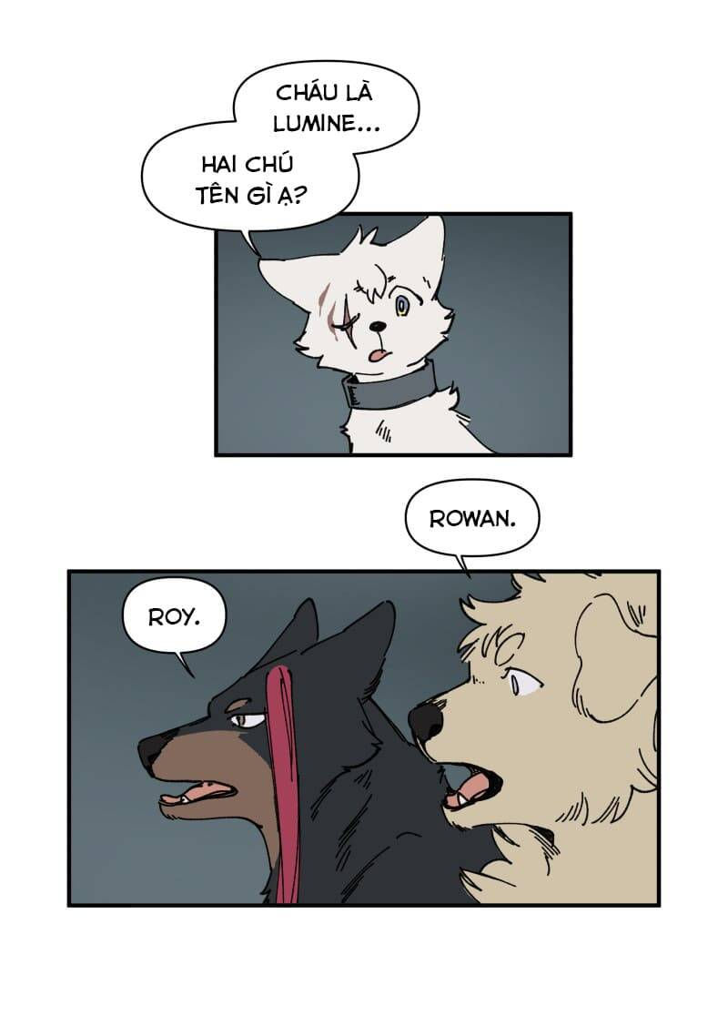 lumine - cội nguồn ánh sáng chapter 143 13