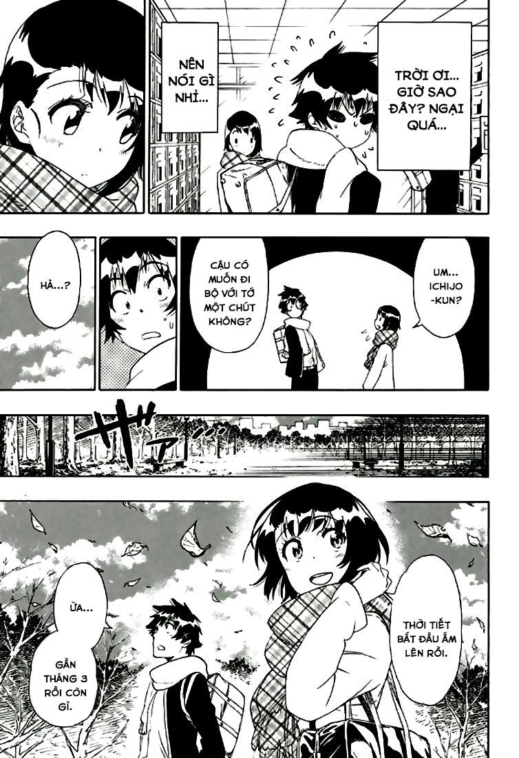 nisekoi - tình yêu giả tạo chapter 196 16