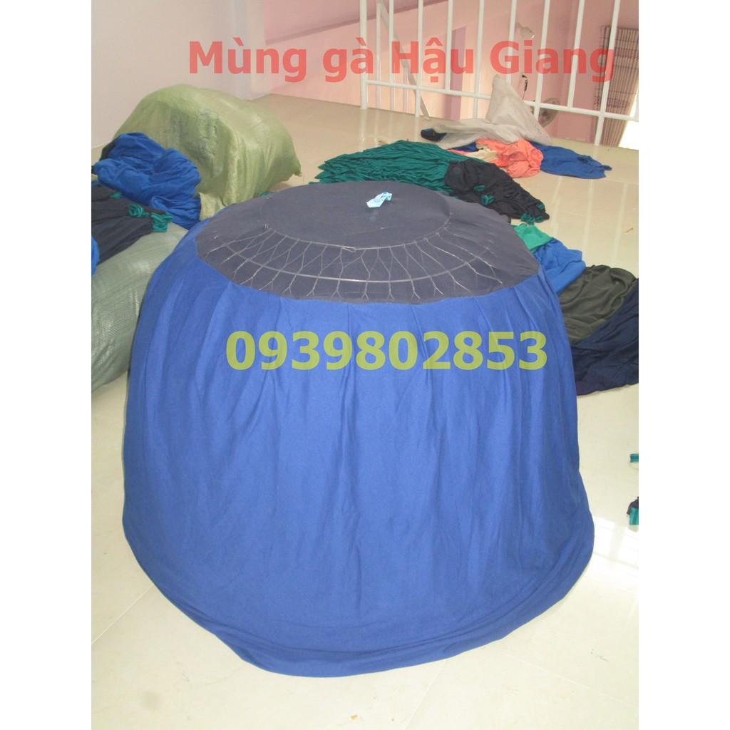 Mùng gà nòi loại tốt