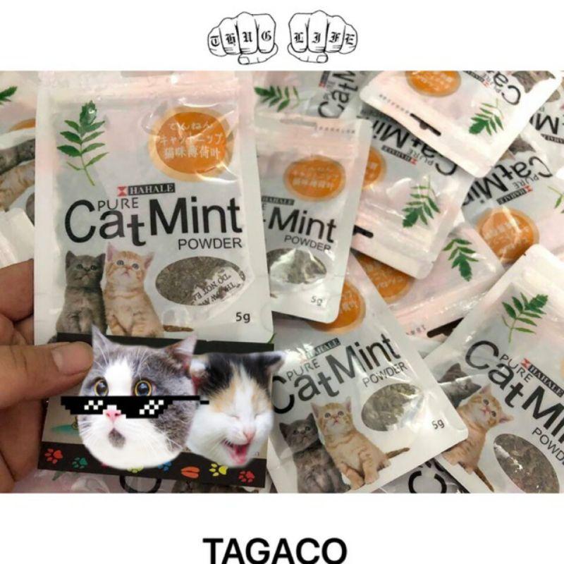 cỏ bạc hà catnip cho mèo xả stress