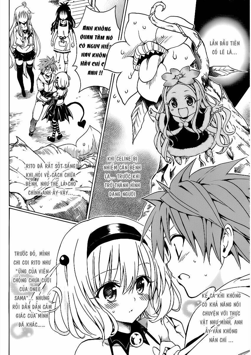 bọn tớ thích cậu! rito 2 - venus chapter 17 7