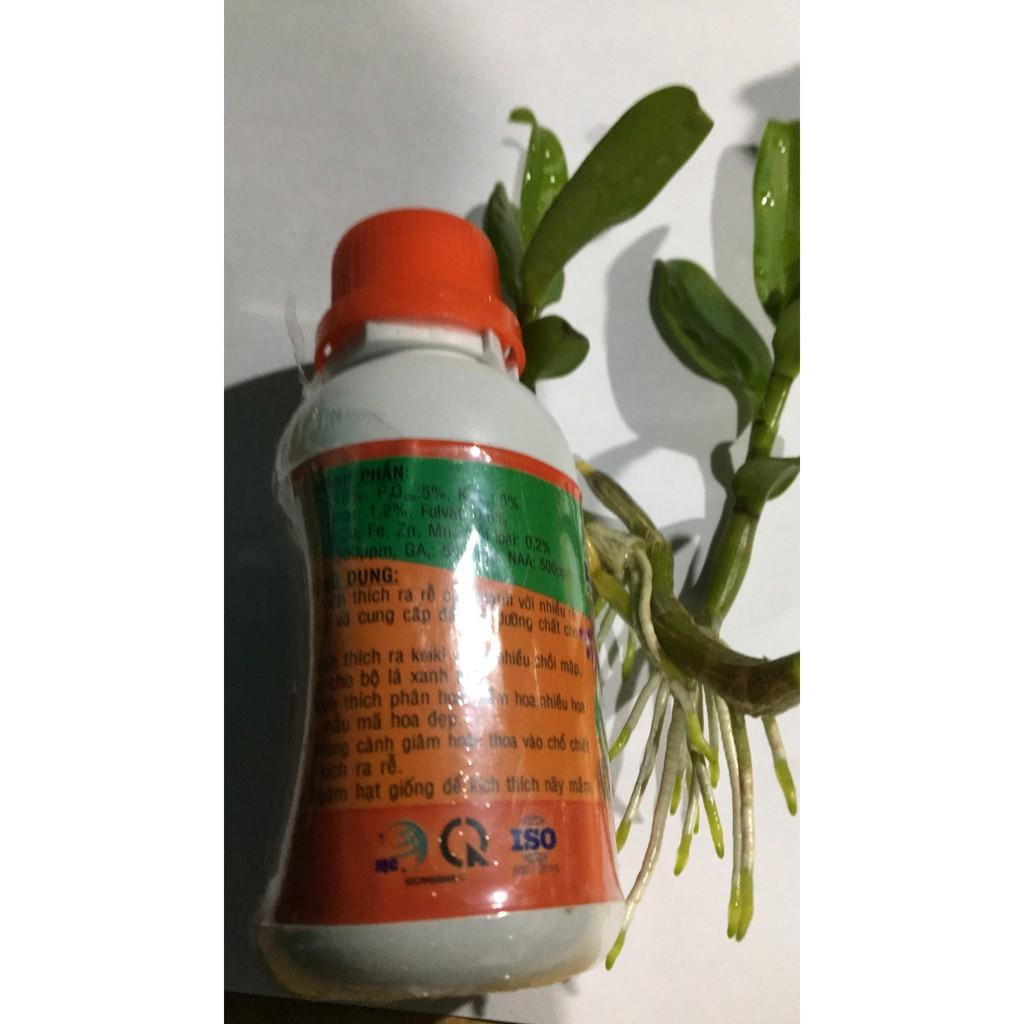 Vitamin B1 Thái nhập khẩu đóng gói tại Việt Nam lọ 100ml