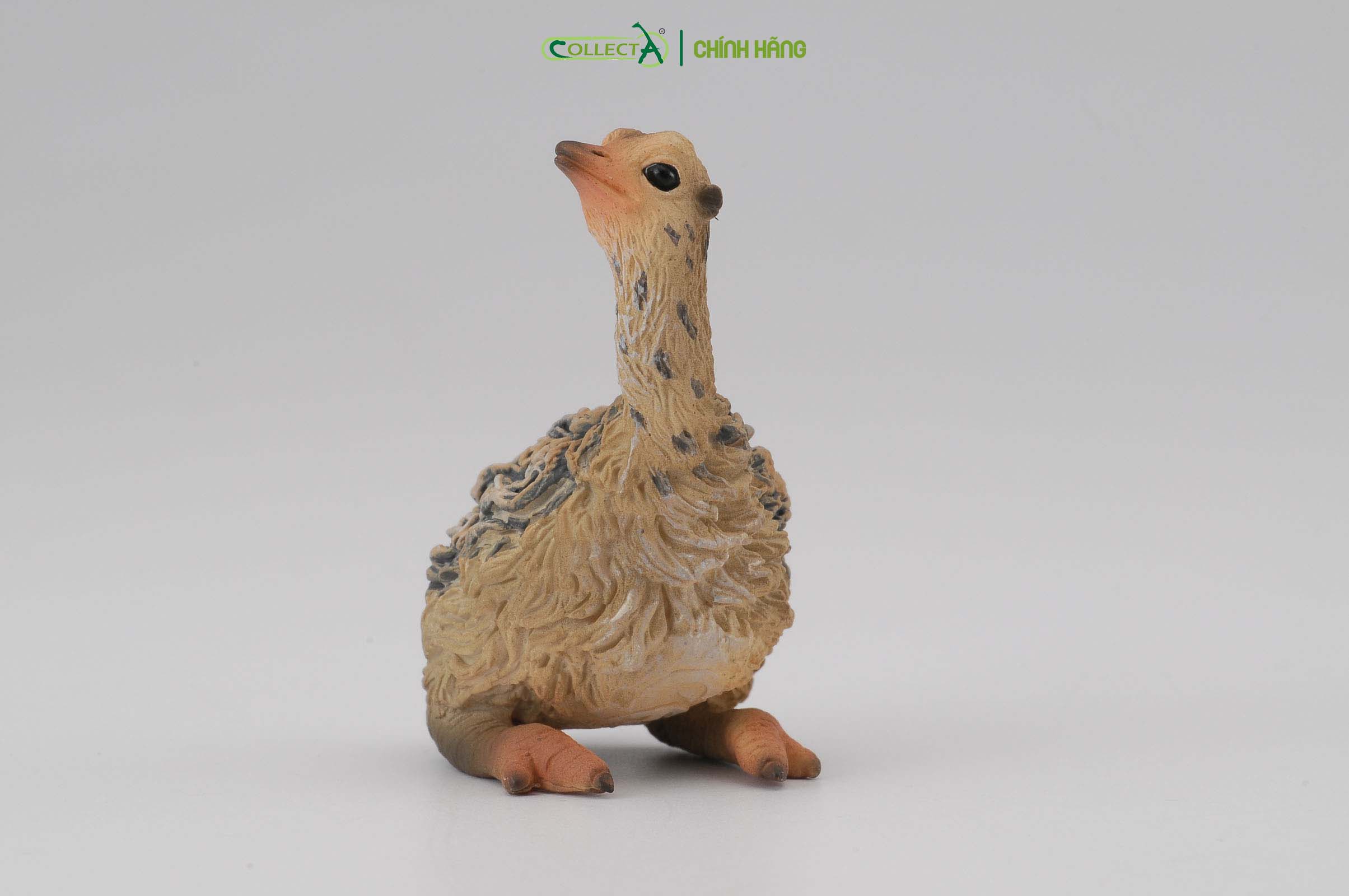 Mô hình thu nhỏ: Đà Điểu con - Ostrich Chick - Sitting, hiệu: CollectA, mã HS 9651151[88460] -  Chất liệu an toàn cho trẻ - Hàng chính hãng