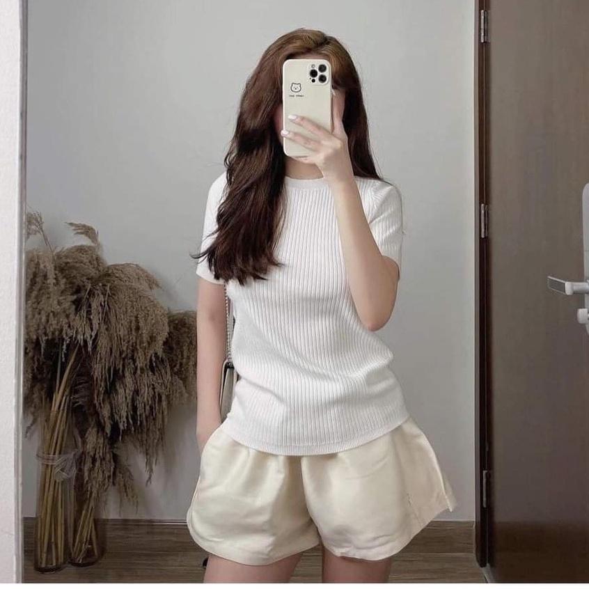 Áo Len Tăm Nữ Ngắn Tay Cổ Tròn Dáng Ôm Kiểu Basic Dệt Kim len Gân Hàng Quảng Châu Cao Cấp Dễ Phối Đồ