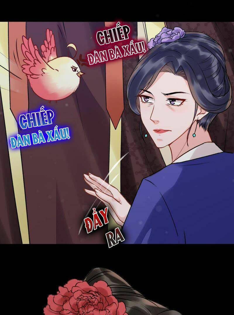 thịnh sủng kiều nữ trở về triều ca chapter 23 25