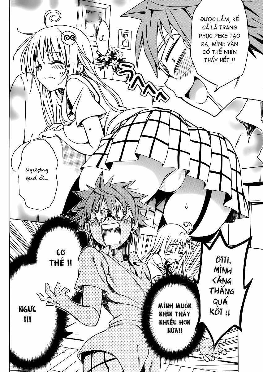 bọn tớ thích cậu! rito 2 - venus chapter 20 9