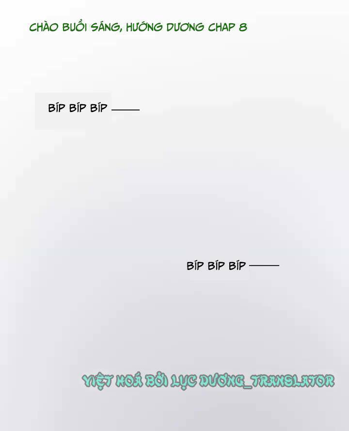 chào buổi sáng, hướng dương chapter 8 1