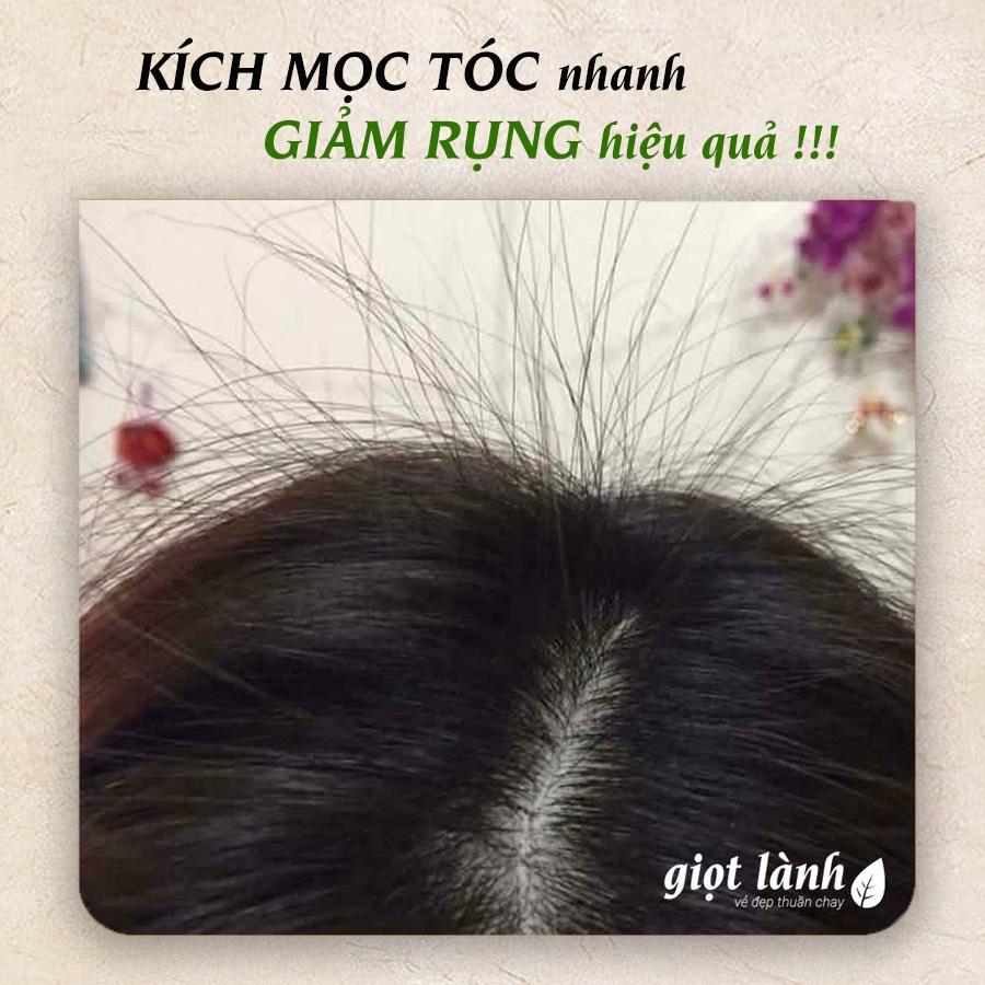 Dầu gội đầu bồ kết cô đặc, bưởi xanh, thảo dược - Kích thích mọc tóc, giảm rụng tóc, giảm gàu ngứa Giọt Lành 500ml