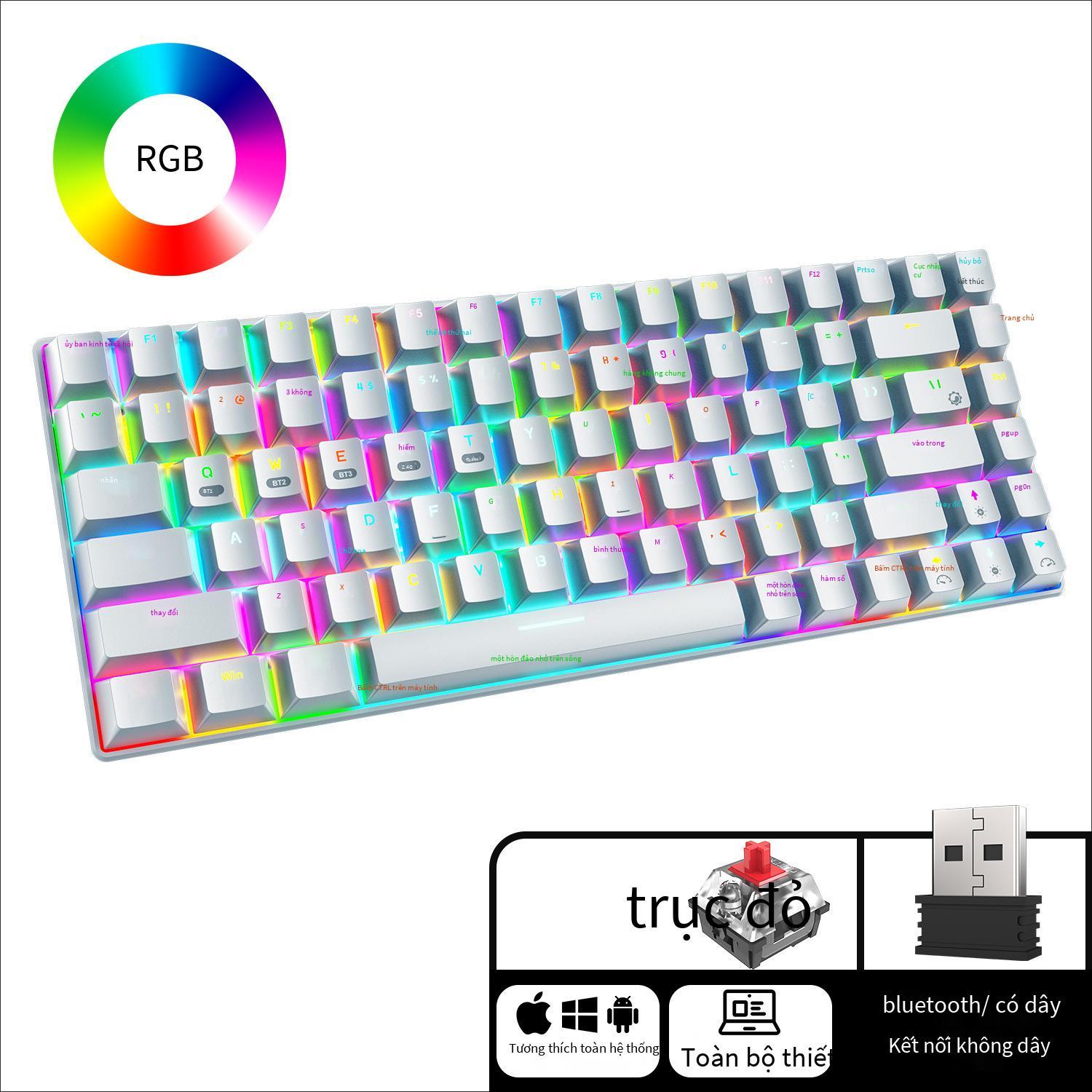 Phong cách mới nhất Xinmeng RF-84RGB ba chế độ Bluetooth 2.4G bàn phím cơ không dây Bàn phím máy tính xách tay trò chơi tùy chỉnh 84 phím