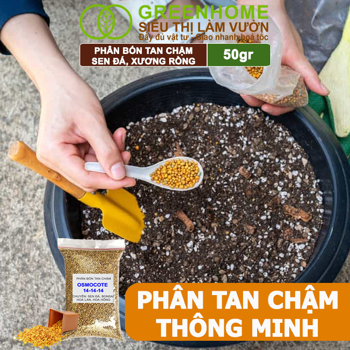 Phân Tan Chậm Greenhome, Oscomote, Bao 50gr, Chuyên Sen Đá, Hoa Hồng, Xương Rồng, Bonsai, GIúp Sen Cứng, Giữ Form, Lên Màu