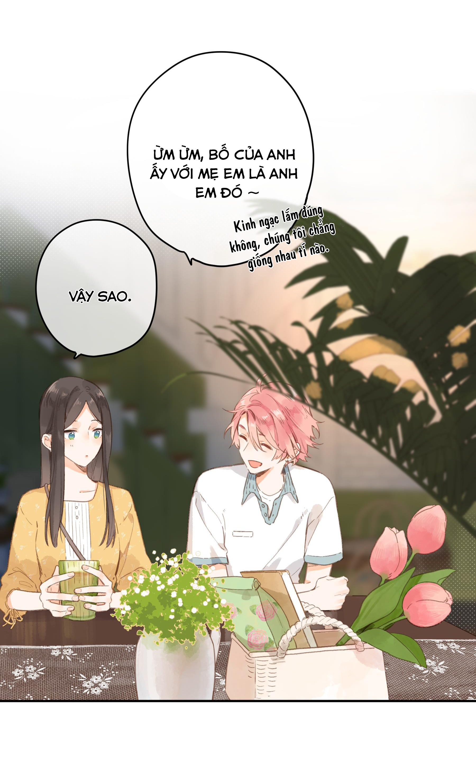 tiệm hoa hướng dương ở góc phố chapter 11 13