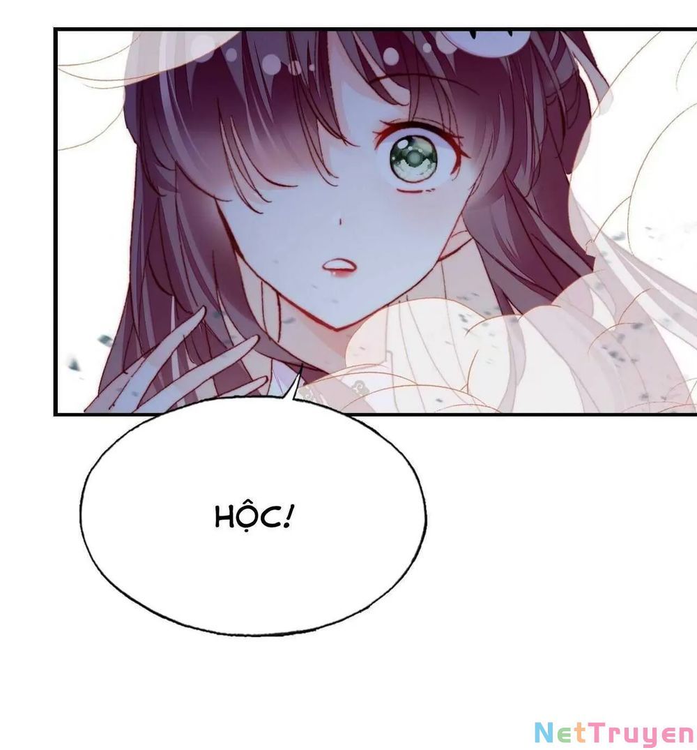 lại bị bệnh chiều chuộng quấn lấy chapter 45 62