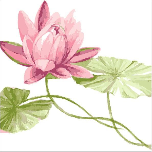 Decal Dán Kính Cao Cấp - Bông Sen Lớn